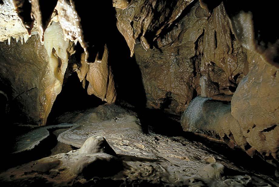 Hotel Haus Recke Balve Bagian luar foto